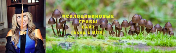 твердый Ельня