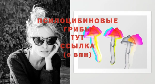 трава Елизово