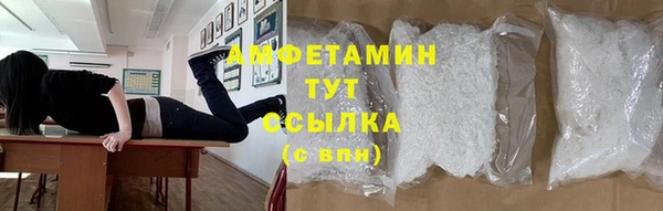 твердый Ельня