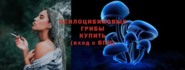 твердый Ельня