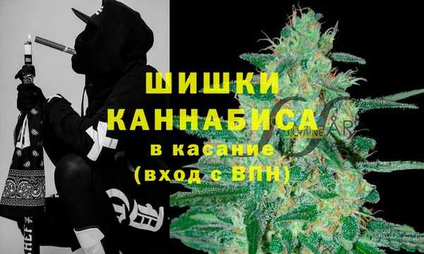 мяу мяу мука Елабуга