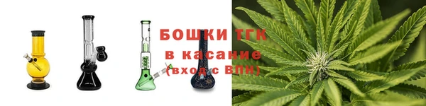 мяу мяу мука Елабуга