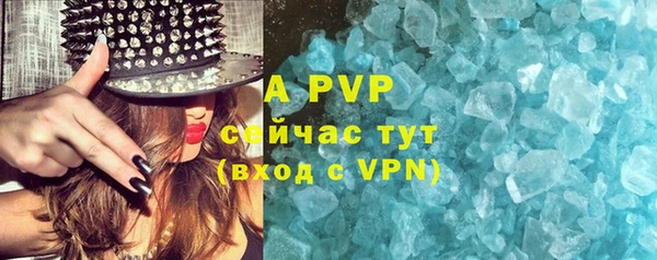 твердый Ельня
