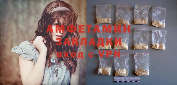 твердый Ельня