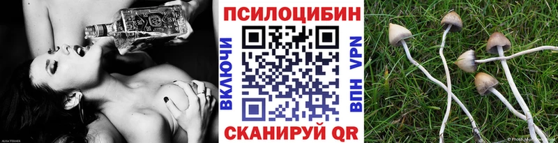 Галлюциногенные грибы GOLDEN TEACHER  Купить где  Златоуст 